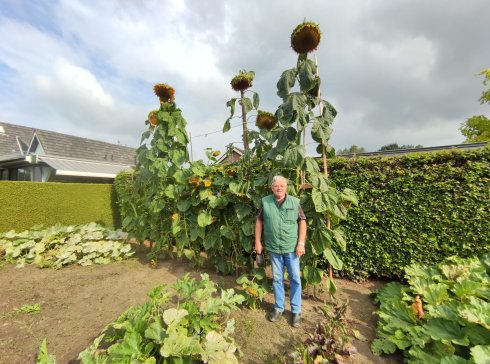 2021-winnaar-zonnebloempittenactie.jpg